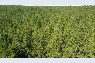 10 Red Oak Road, Cottageville, SC 29435 - Photo 3