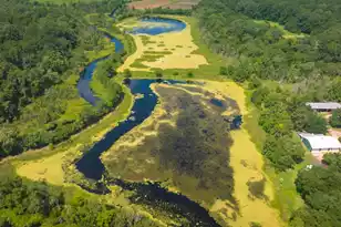 1185 Poco Sabo Ln, Green Pond, SC 29446 - Photo 9