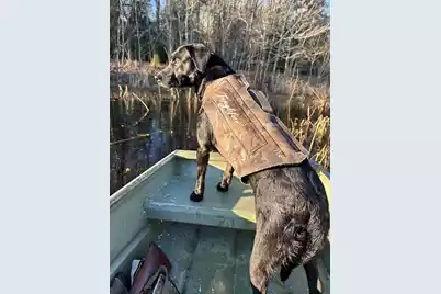 1185 Poco Sabo Lane, Green Pond, SC 29446 - Photo 45