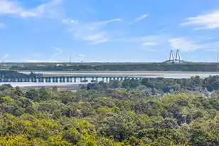 2912 Oxford Pl, Charleston, SC 29414 - Photo 51