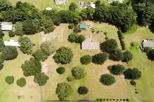 2920 Caroline Ln, Johns Island, SC 29455 - Photo 3