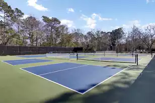 3584 Somerset Hills Ct, Mount Pleasant, SC 29466 - Photo 59