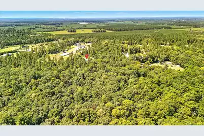 1776 Calamus Pond Road, Summerville, SC 29486 - Photo 27