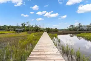 802 Kings Oak Ct, Charleston, SC 29492 - Photo 39