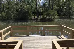 335 Clayton Dr, Charleston, SC 29414 - Photo 41