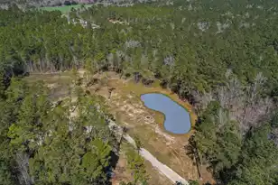 0 Myers Mayo Road #Lot 1, Ridgeville, SC 29472 - Photo 15