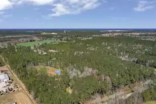 0 Myers Mayo Road #Lot 1, Ridgeville, SC 29472 - Photo 13