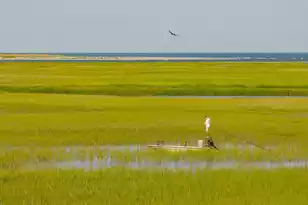 1403 Dune Loft Villas, Seabrook Island, SC 29455 - Photo 99