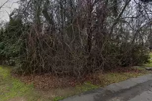 0 Irick St, Eutawville, SC 29048 - Photo 3