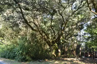 139 Earnestine Drive, Georgetown, SC 29440 - Photo 5