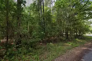 0 Hodges Rd, Kingstree, SC 29556 - Photo 3