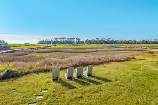 7759 Edingsville Beach Rd, Edisto Island, SC 29438 - Photo 3