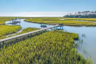 7759 Edingsville Beach Rd, Edisto Island, SC 29438 - Photo 11