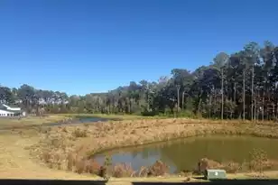 410 Great Egret Trce, Summerville, SC 29486 - Photo 5