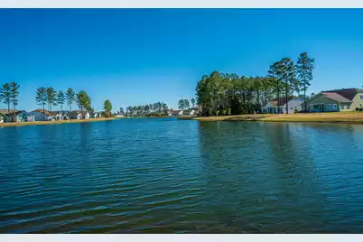 220 Tupelo Lake Drive, Summerville, SC 29486 - Photo 59