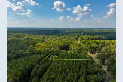 998 Old River Road, Elloree, SC 29047 - Photo 7