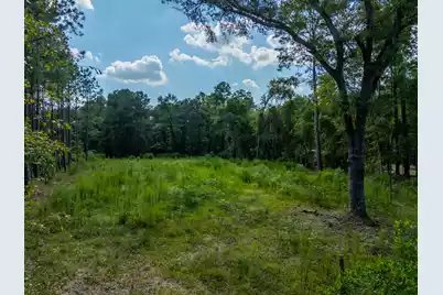 998 Old River Road, Elloree, SC 29047 - Photo 13