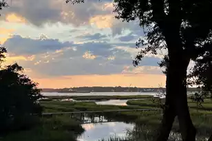 1358 Polly Point Rd, Wadmalaw Island, SC 29487 - Photo 79