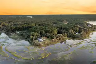 1358 Polly Point Rd, Wadmalaw Island, SC 29487 - Photo 75