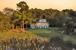 1358 Polly Point Rd, Wadmalaw Island, SC 29487 - Photo 5