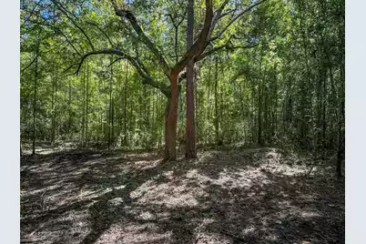 1 Hard Pinch Road, Moncks Corner, SC 29461 - Photo 7