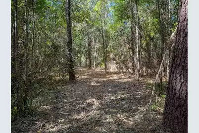 1 Hard Pinch Road, Moncks Corner, SC 29461 - Photo 11