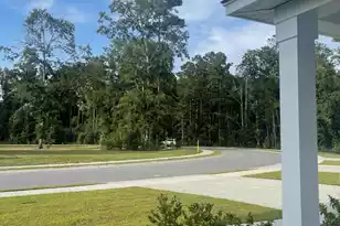 459 Green Fern Dr, Summerville, SC 29483 - Photo 45