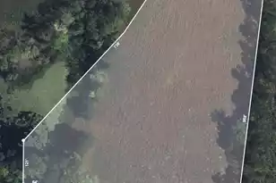 0 Dawson Branch Rd, Summerville, SC 29483 - Photo 1