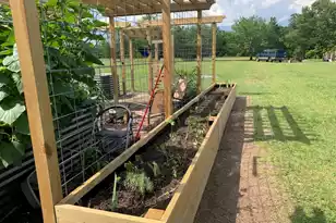 195 Sandy Springs Cir, Walterboro, SC 29488 - Photo 37