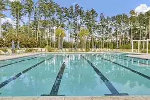 105 Fig Ivy Ln, Summerville, SC 29486 - Photo 43