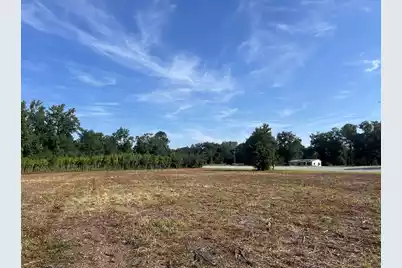 0 Whittaker Parkway, Orangeburg, SC 29115 - Photo 33