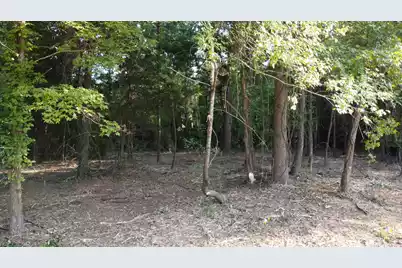 0 Whittaker Parkway, Orangeburg, SC 29115 - Photo 7