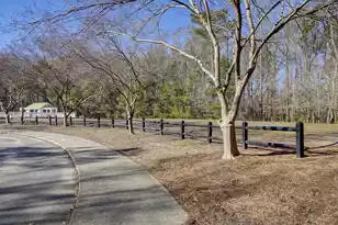 107 Garden Grove Dr, Summerville, SC 29485 - Photo 43