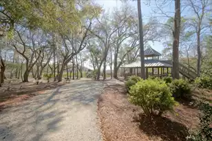 861 Dunham St, Daniel Island, SC 29492 - Photo 69