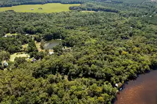 7175 Parkers Ferry Rd, Adams Run, SC 29426 - Photo 45