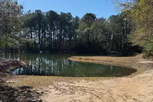 1191 Rivershore Rd, Charleston, SC 29492 - Photo 5