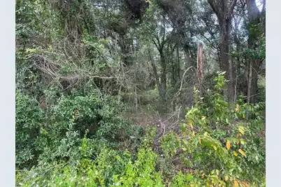 1236 Seaside Road, Saint Helena Island, SC 29920 - Photo 3