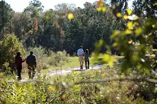 131 Collared Dove Ct, Summerville, SC 29483 - Photo 43