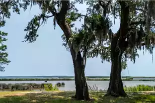 951 Herriott Farms Dr, Georgetown, SC 29440 - Photo 17