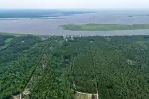 951 Herriott Farms Dr, Georgetown, SC 29440 - Photo 7