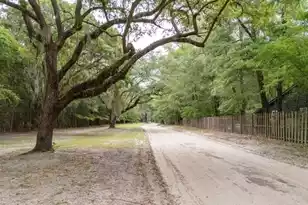 951 Herriott Farms Dr, Georgetown, SC 29440 - Photo 13