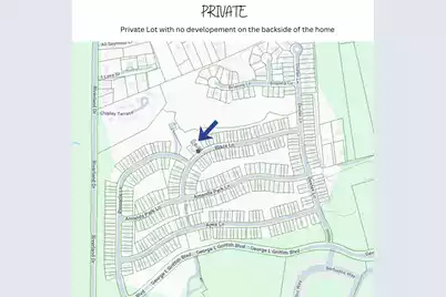 1527 Blaze Lane, Charleston, SC 29412 - Photo 19