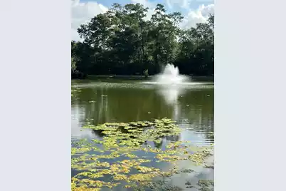 1527 Blaze Lane, Charleston, SC 29412 - Photo 19