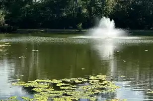 1527 Blaze Ln, Charleston, SC 29412 - Photo 23