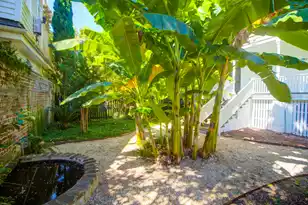 31 Society St, Charleston, SC 29401 - Photo 47