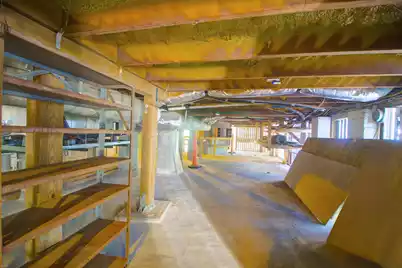 31 Society Street, Charleston, SC 29401 - Photo 51