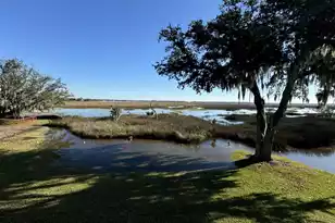 1563 Headquarters Plantation Dr, Johns Island, SC 29455 - Photo 99