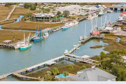 222 Haddrell Street, Mount Pleasant, SC 29464 - Photo 73