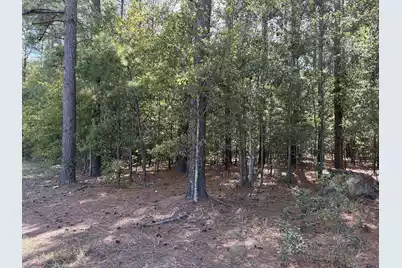 000 Slab Landing Road, Cope, SC 29038 - Photo 3