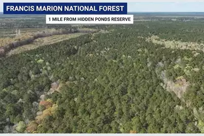 1171 Reserve Lane, Awendaw, SC 29429 - Photo 33